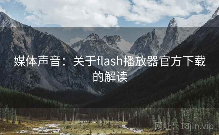 媒体声音:关于flash播放器官方下载的解读