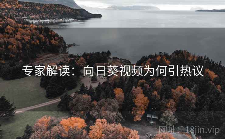 专家解读：向日葵视频为何引热议