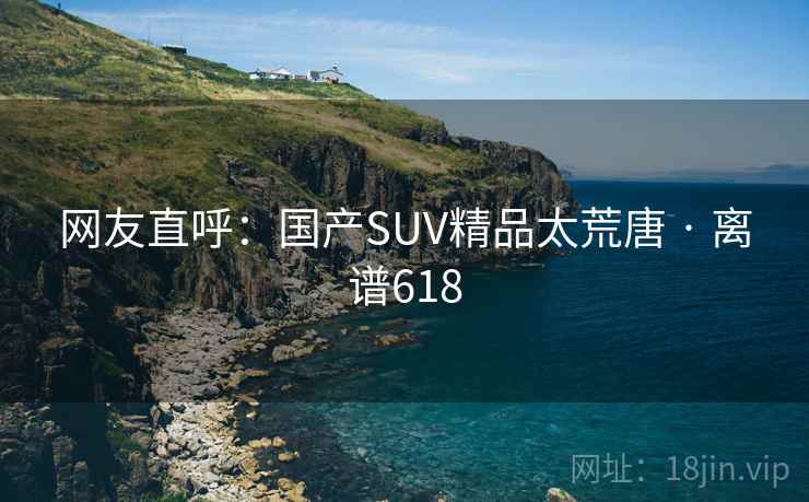网友直呼：国产SUV精品太荒唐 · 离谱618