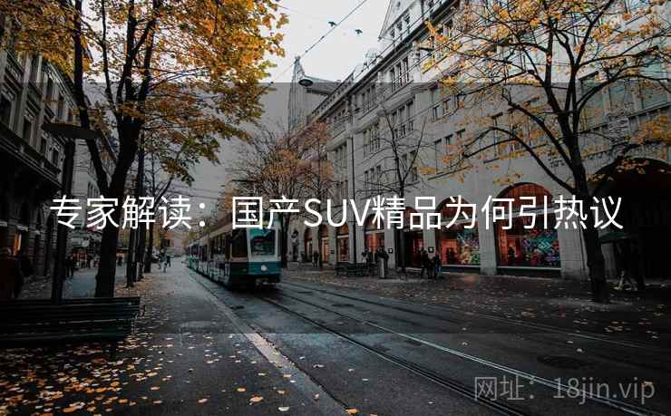 专家解读：国产SUV精品为何引热议